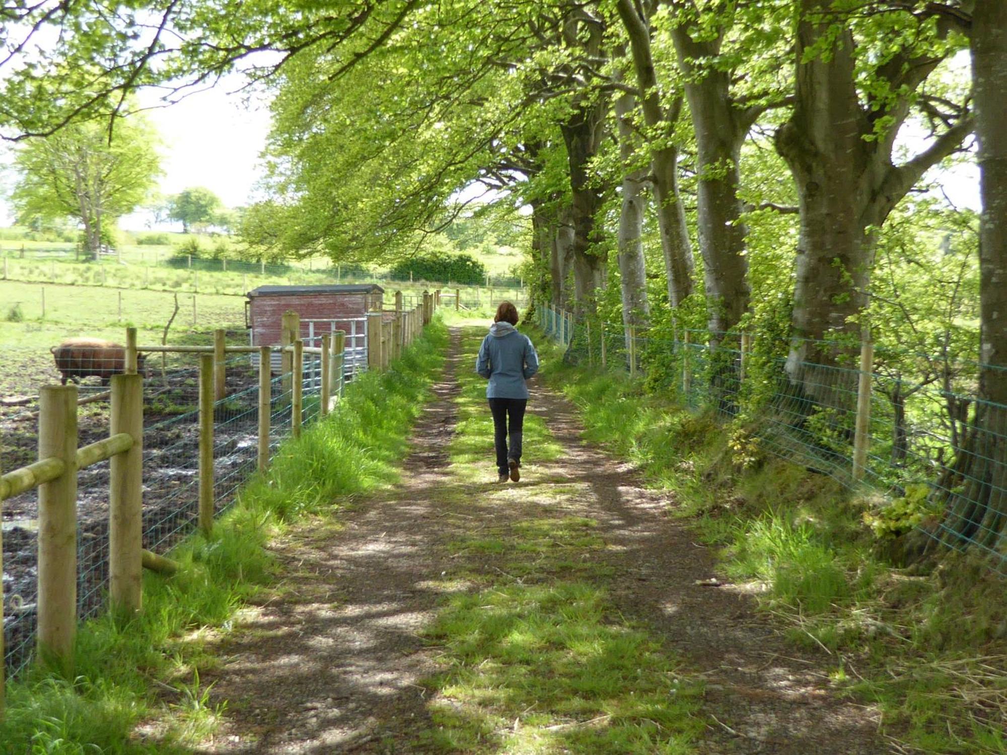 Ballylagan Organic Farm Straid  الغرفة الصورة